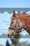 ref. photo 3553117