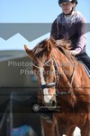 ref. photo 3553118