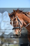 ref. photo 3553119