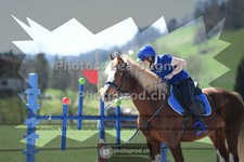 ref. photo 3553124