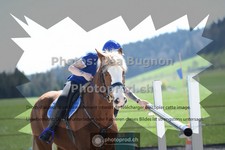 ref. photo 3553126
