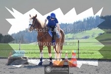 ref. photo 3553131