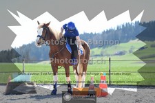 ref. photo 3553132