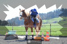 ref. photo 3553133