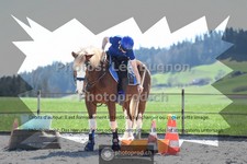 ref. photo 3553134