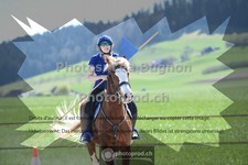 ref. photo 3553135