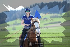 ref. photo 3553136