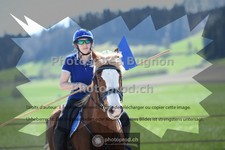 ref. photo 3553137