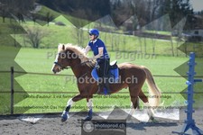 ref. photo 3553140