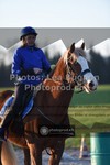ref. photo 3553148