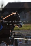 ref. photo 3553155