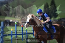 ref. photo 3553167