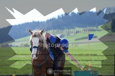 ref. photo 3553170