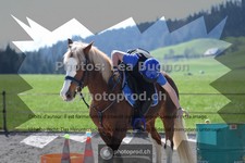 ref. photo 3553172