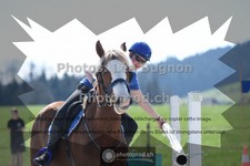 ref. photo 3553174