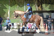 ref. photo 3553189