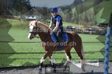 ref. photo 3553191