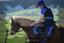 ref. photo 3553193