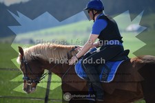 ref. photo 3553194