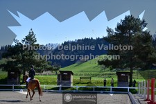 ref. photo 3553199