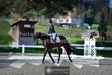ref. photo 3553202