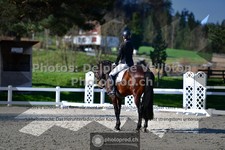 ref. photo 3553205