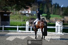 ref. photo 3553206