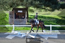 ref. photo 3553208