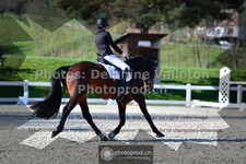 ref. photo 3553210