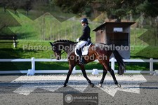 ref. photo 3553211