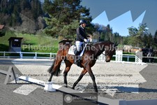 ref. photo 3553214