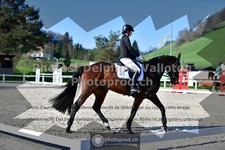 ref. photo 3553215