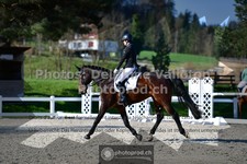 ref. photo 3553218