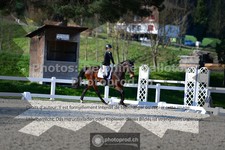 ref. photo 3553219