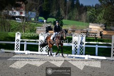 ref. photo 3553220