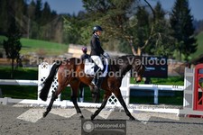 ref. photo 3553235