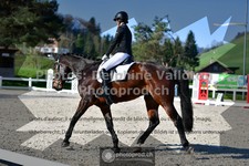 ref. photo 3553239