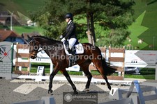 ref. photo 3553246