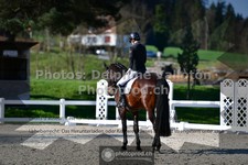 ref. photo 3553247