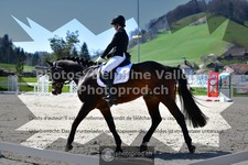 ref. photo 3553267