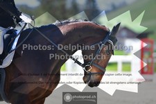 ref. photo 3553272