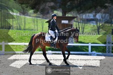 ref. photo 3553280