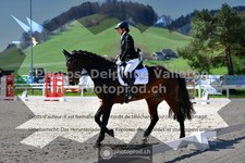ref. photo 3553284