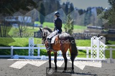 ref. photo 3553289