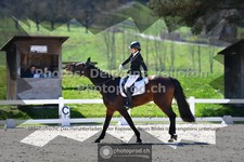 ref. photo 3553291