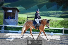 ref. photo 3553311