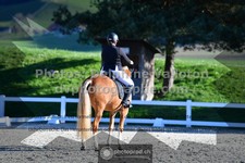 ref. photo 3553312