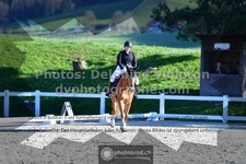 ref. photo 3553314