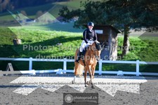 ref. photo 3553315