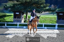 ref. photo 3553316